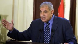 Egyptian Government resigns