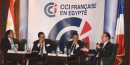 Γαλλική πρόταση για κατασκευή βιομηχανικής ζώνης στην Αλεξάνδρεια