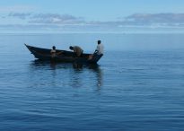 Egypt Heads Project to Connect 10 African Countries through Nile Shipping Line