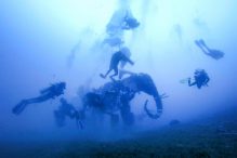 Dahab’s Underwater Museum: a Kiss of Life to the Red Sea Ecosystem