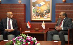 Egyptian parliament delegation holds political and economic talks with Cypriot officials