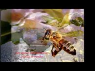 Ένα τραγούδι αφιερωμένο στα Νήπια της ΕΚΑ